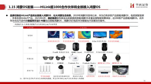 鴻蒙出鞘，劍指生態(tài) 華西證券視角下的計算機軟件研發(fā)新紀元