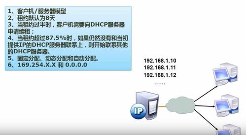 全國軟考中級軟件設計師學習筆記 計算機網絡在軟件研發中的應用